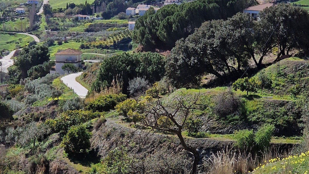 Photo of Others in Carratraca