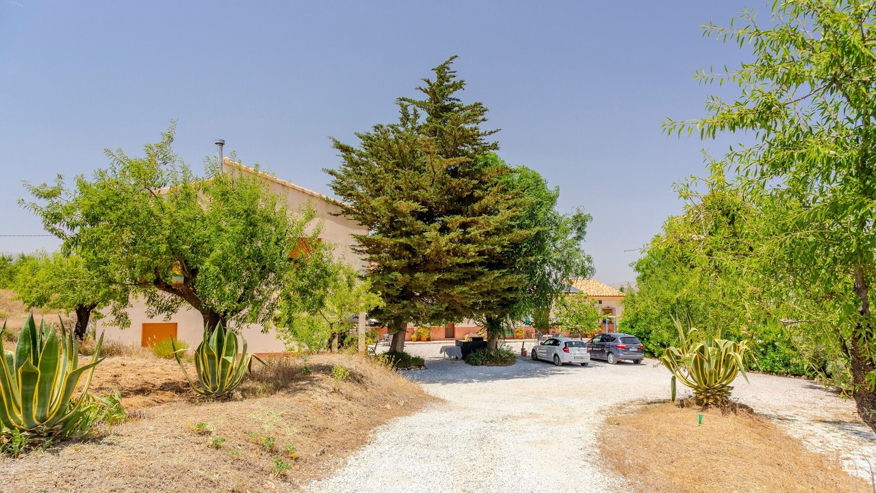 Photo of Outdoor in Velez Rubio