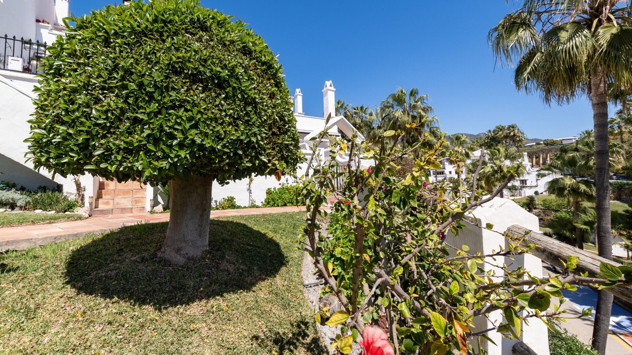 Photo of Outdoor in Oasis del Capistrano