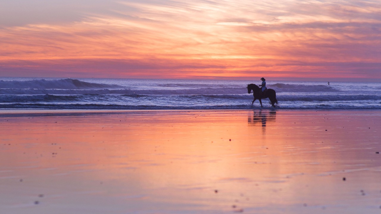 Photo of Others in El Palmar