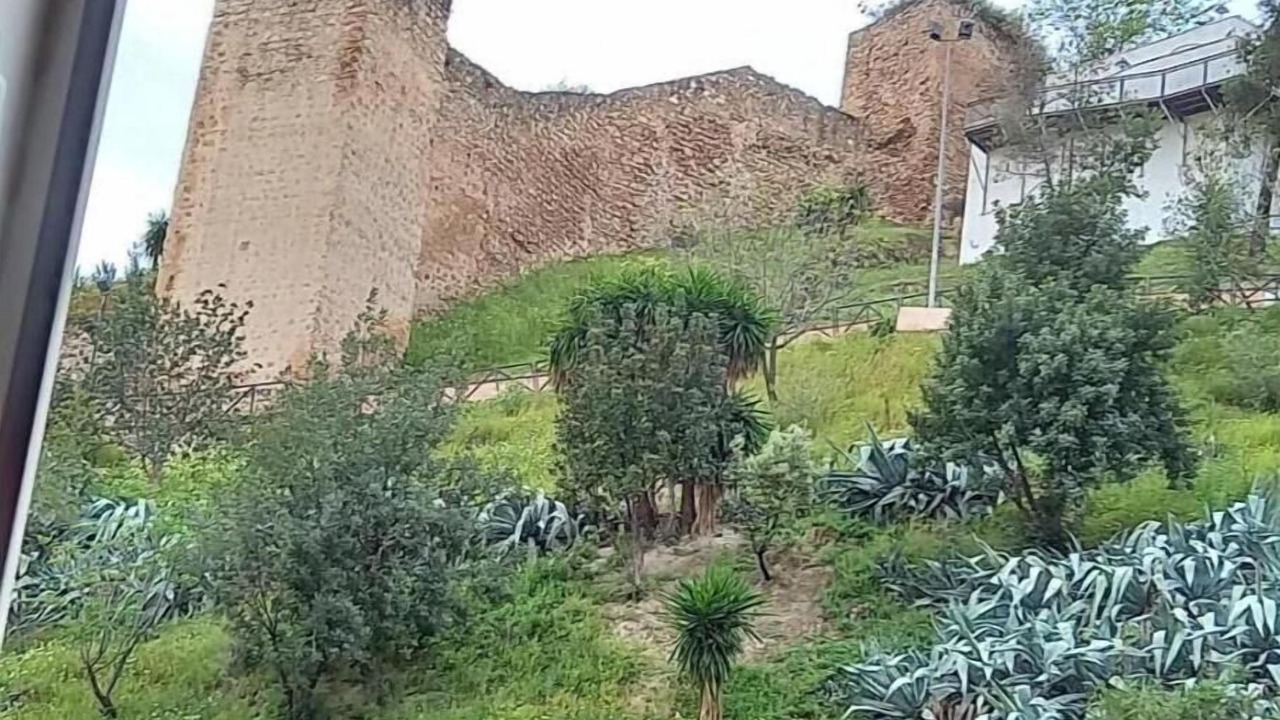 Photo of Others in Baena