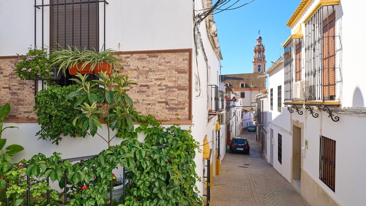 Photo of Outdoor in Penaflor
