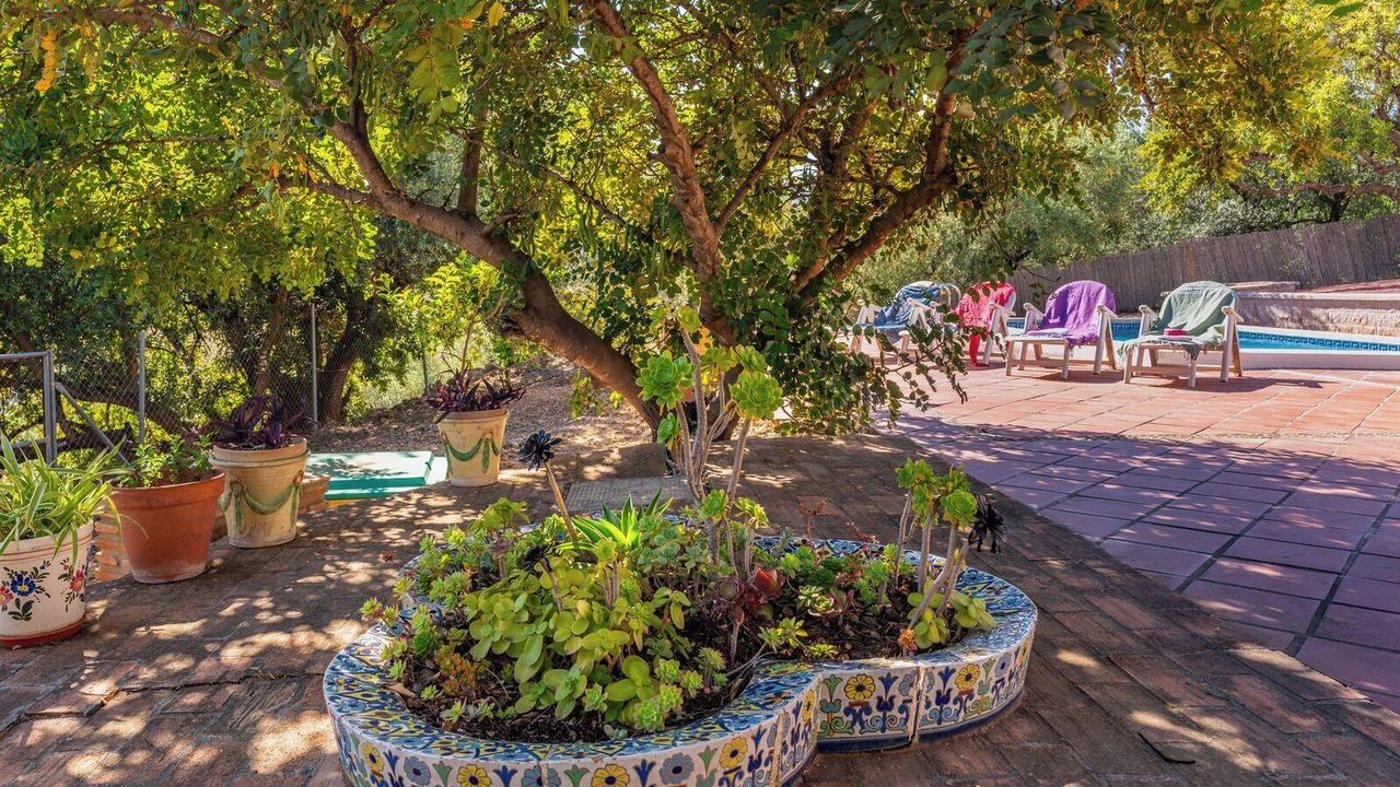 Photo of Patio Balcony in Periana