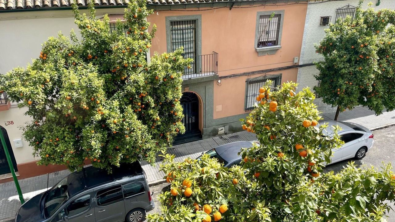 Photo of Outdoor in Distrito Sur
