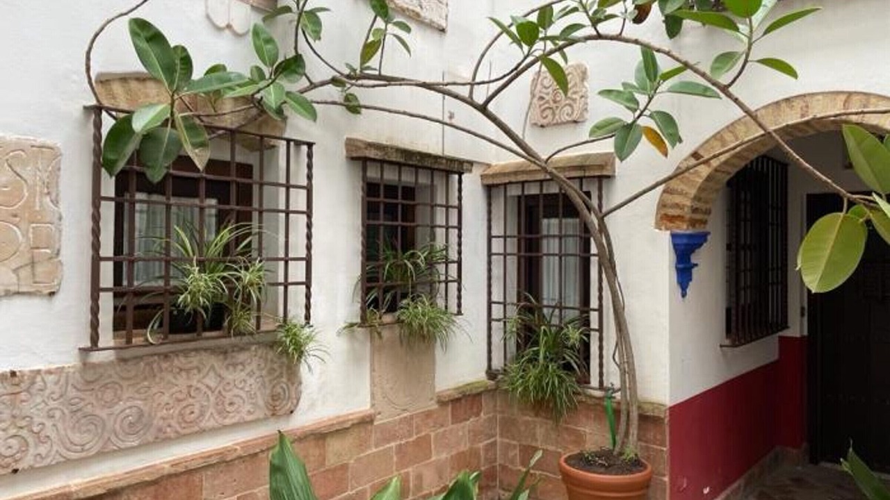 Photo of Outdoor in San Pedro