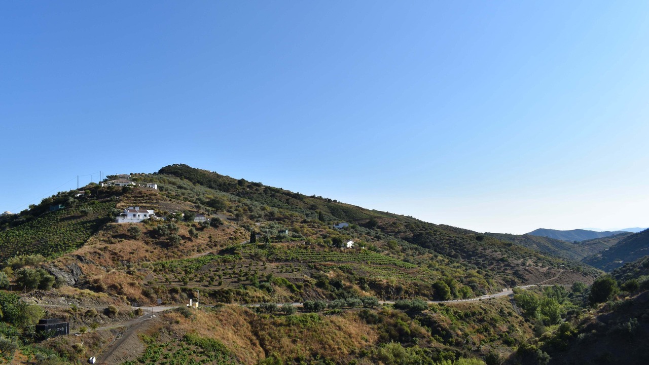 Photo of Outdoor in Canillas de Albaida