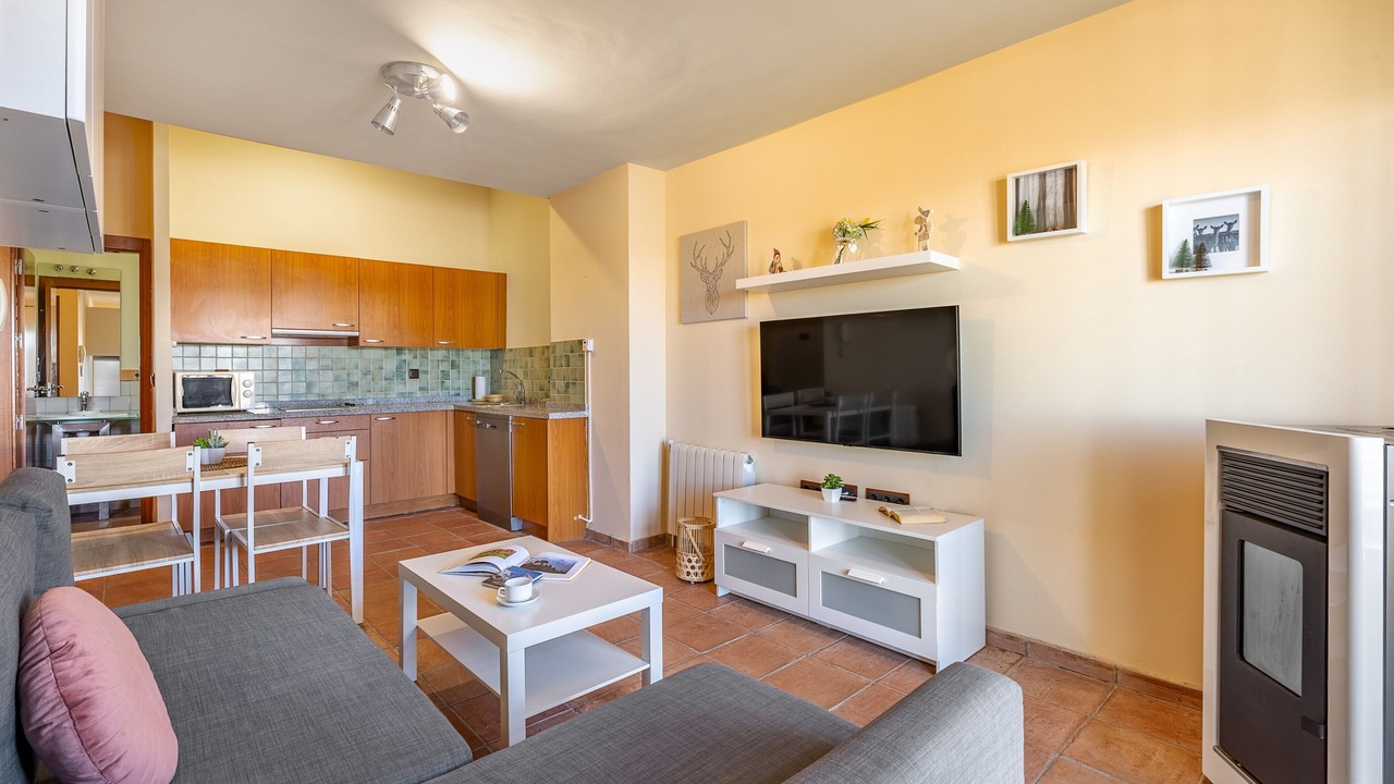 Photo of Livingroom in Pradollano