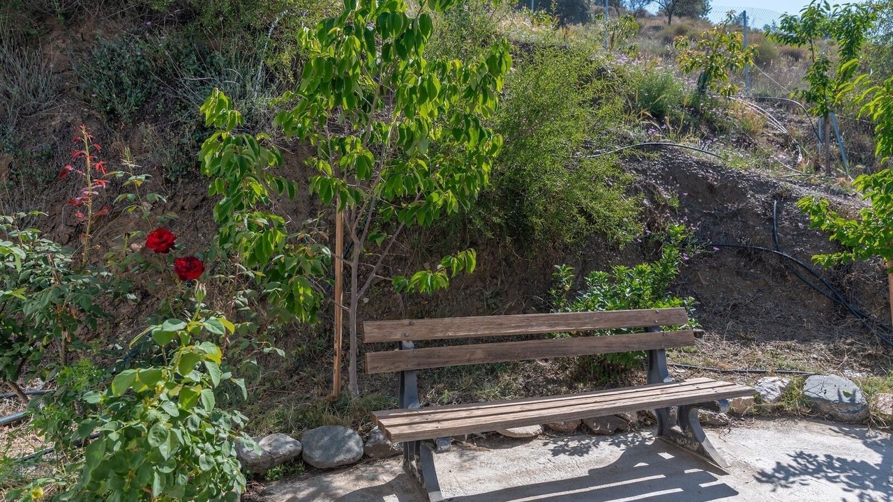 Photo of Outdoor in Sedella