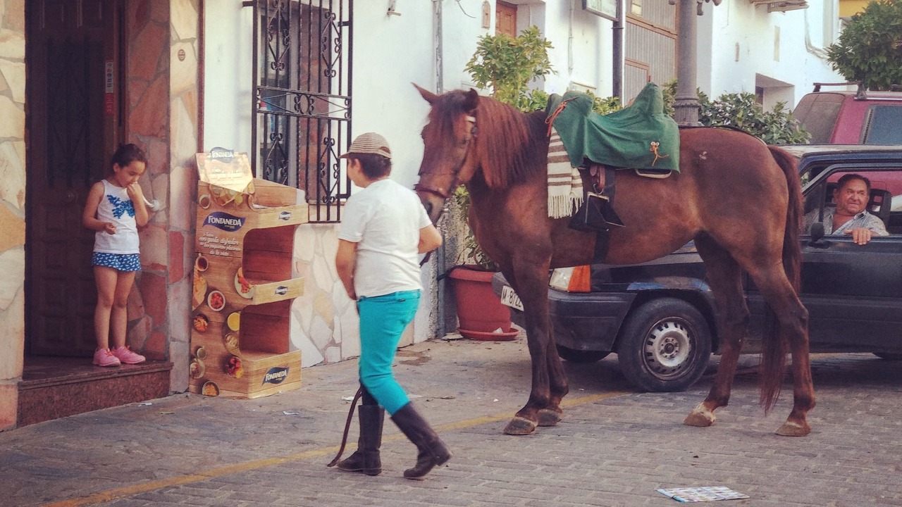Photo of Others in Canillas de Aceituno
