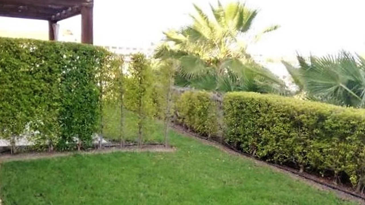Photo of Outdoor in Vera