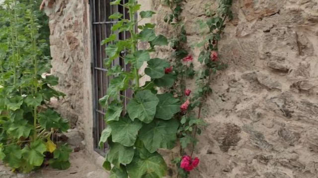 Photo of Outdoor in Lozoya