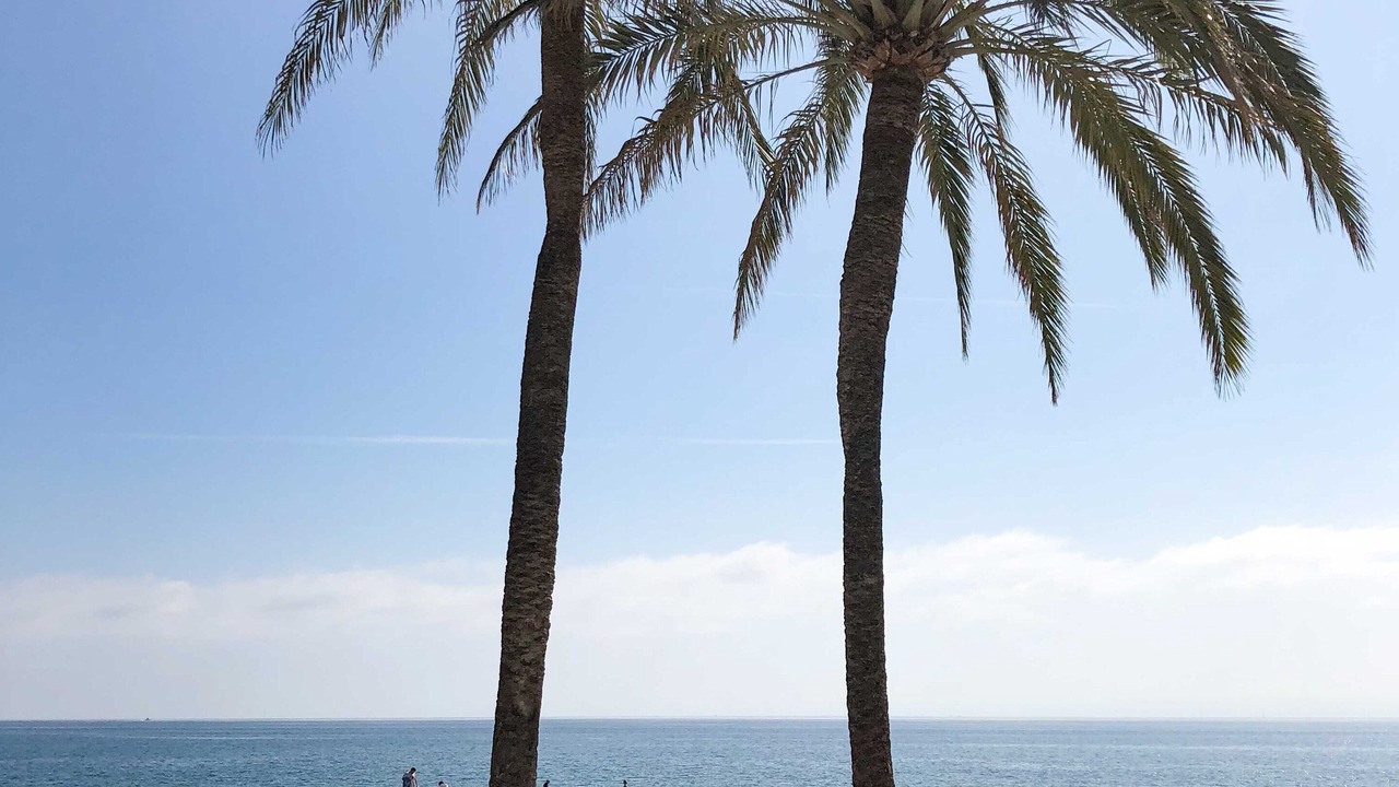 Photo of Others in Historic Center of Estepona