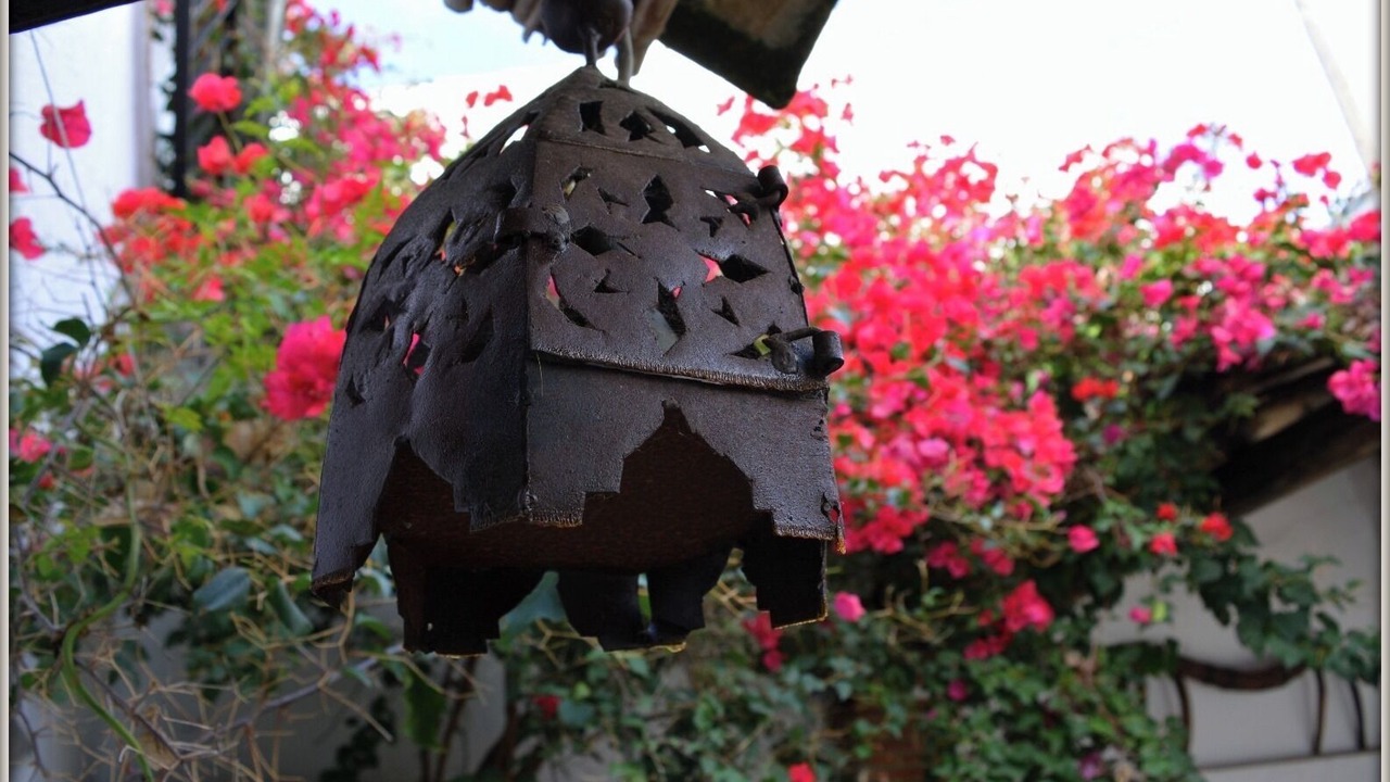 Photo of Outdoor in Algodonales