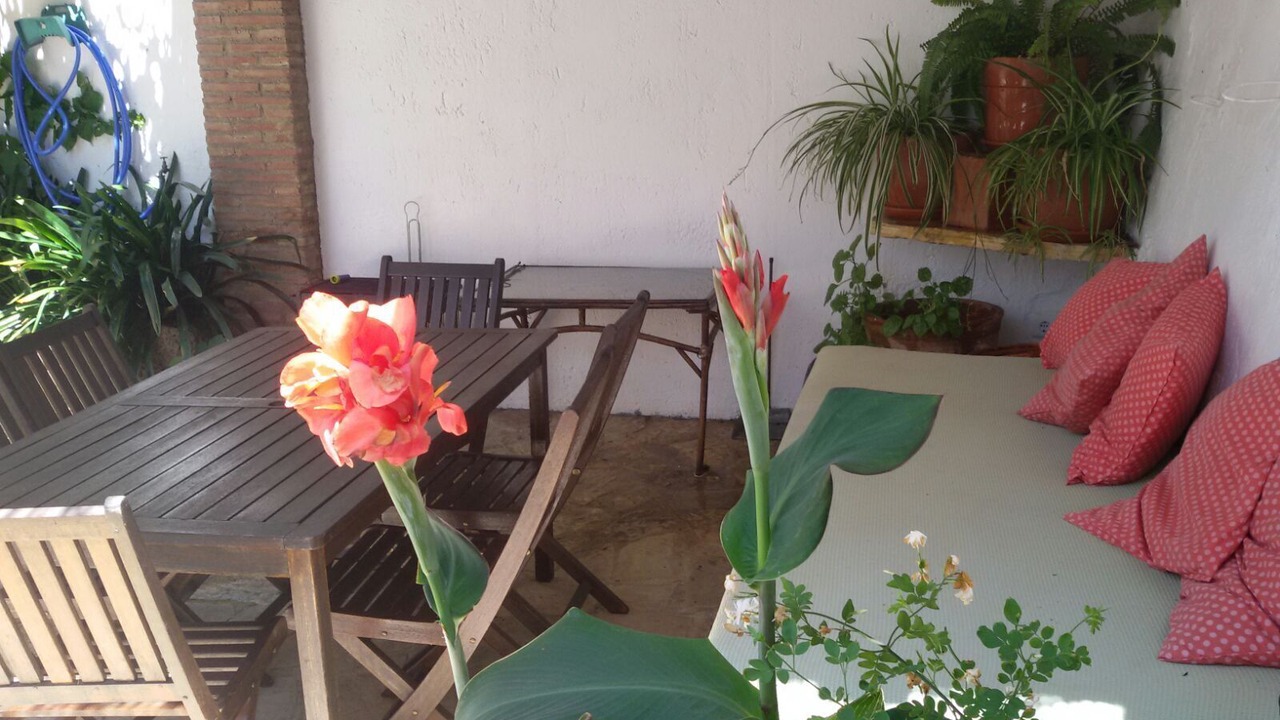 Photo of Outdoor in Algodonales