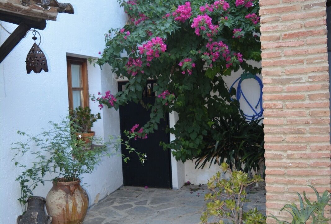 Photo of Outdoor in Algodonales
