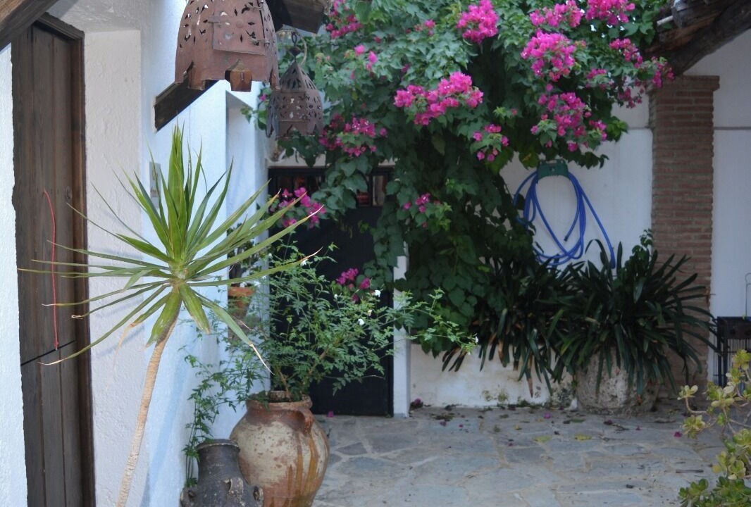 Photo of Outdoor in Algodonales