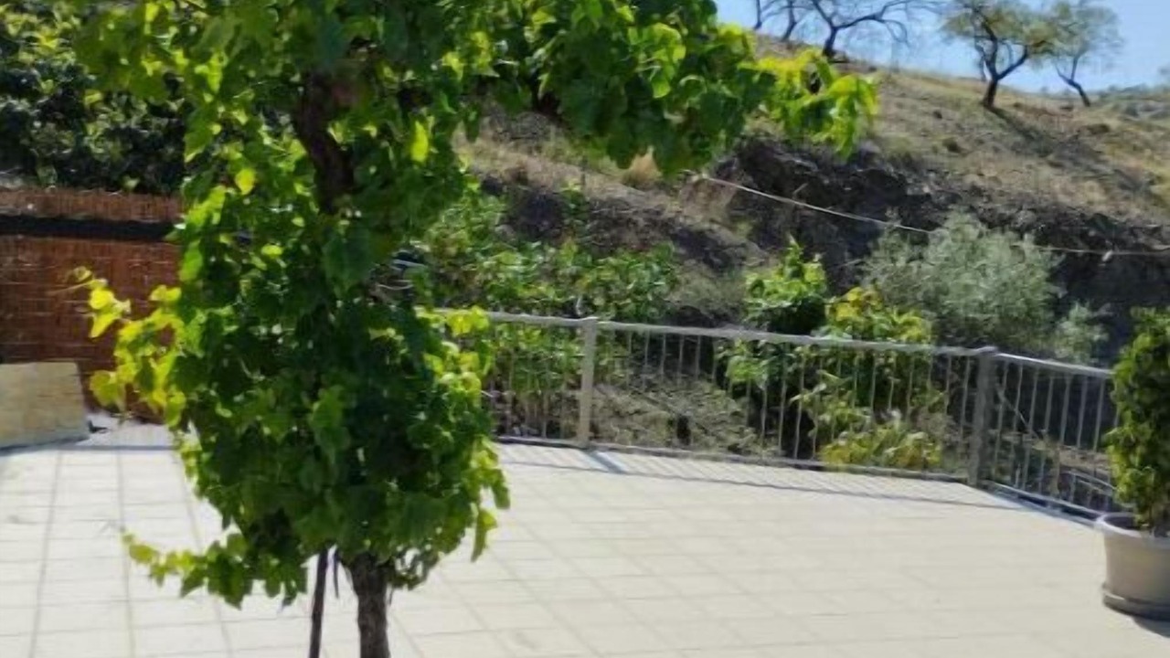 Photo of Outdoor in Arenas