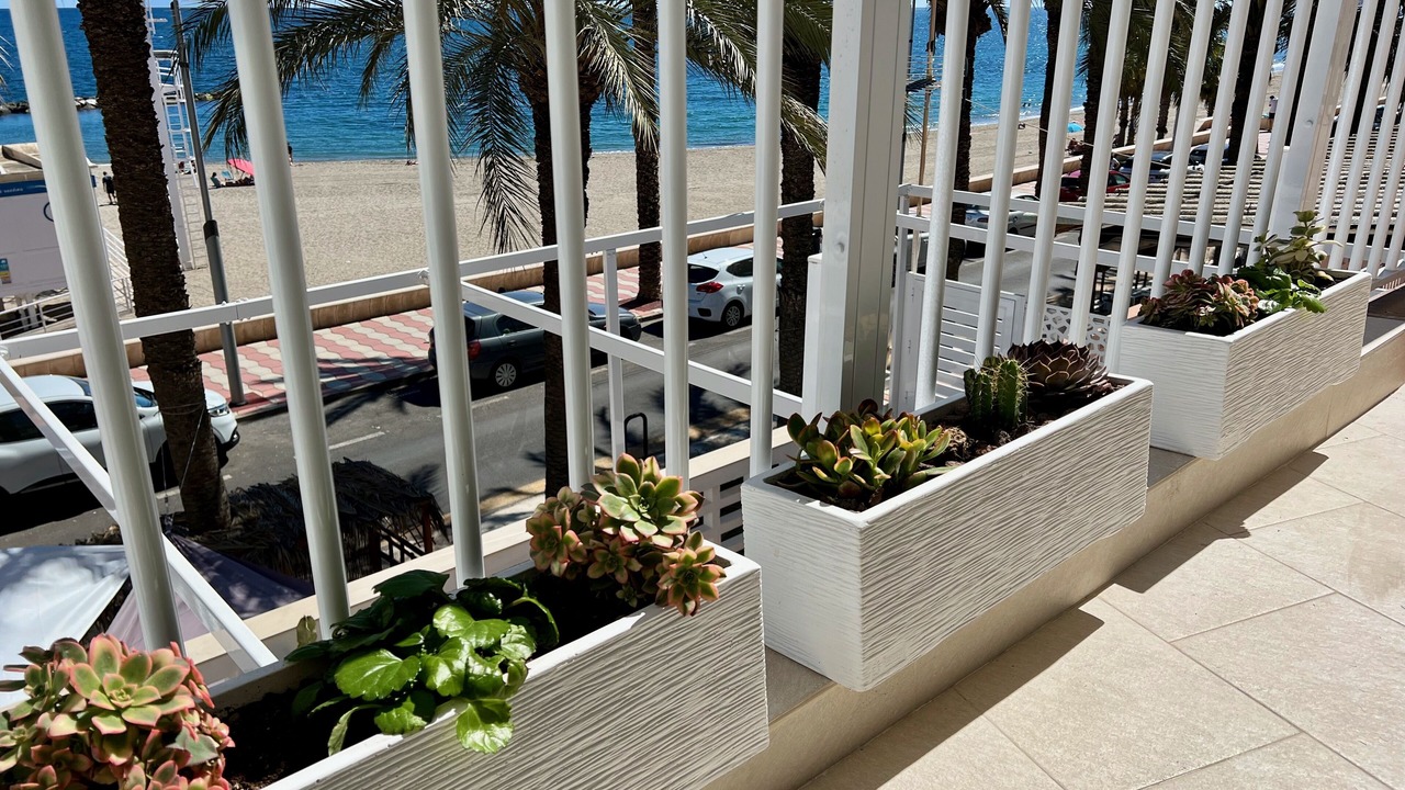 Photo of Outdoor in Aguadulce