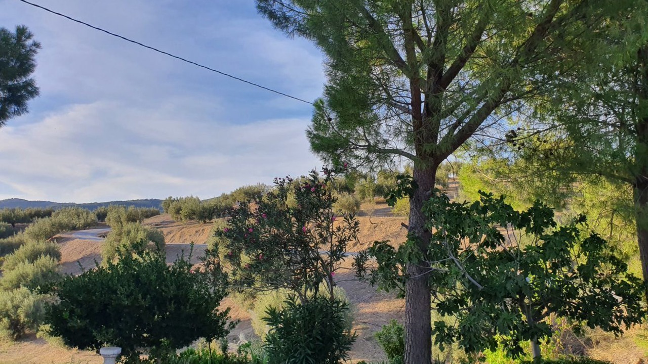 Photo of Outdoor in Castillo de Locubin