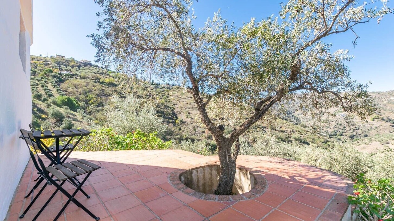 Photo of Outdoor in Competa