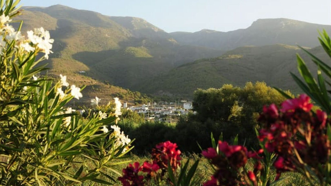 Photo of Others in Orgiva