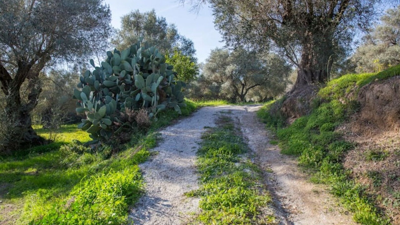 Photo of Outdoor in Orgiva