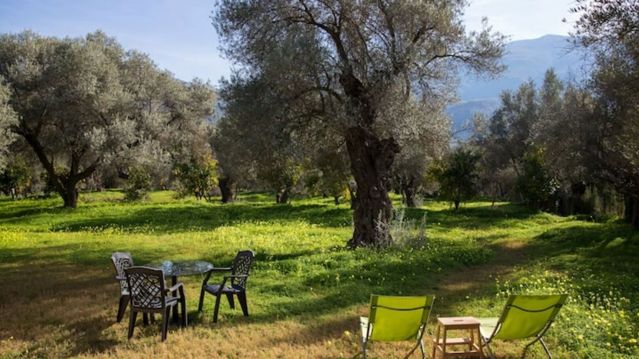 Photo of Outdoor in Orgiva
