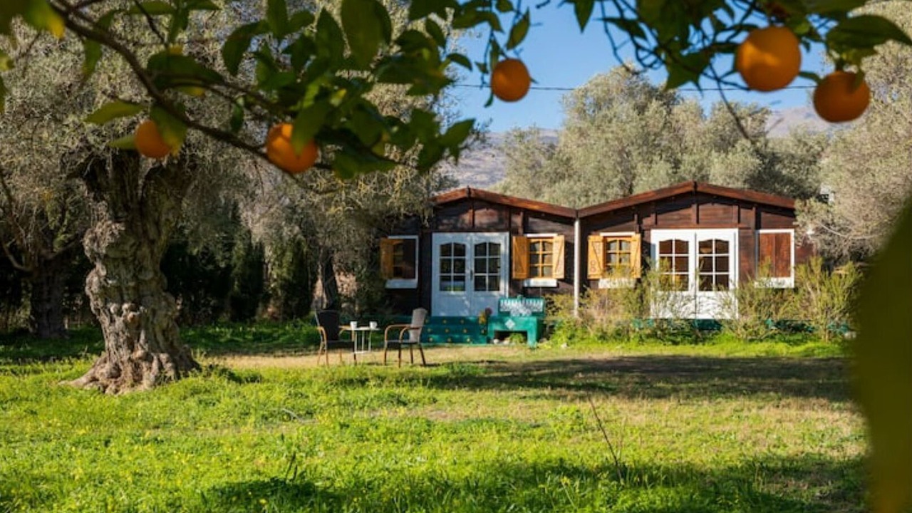 Photo of Outdoor in Orgiva