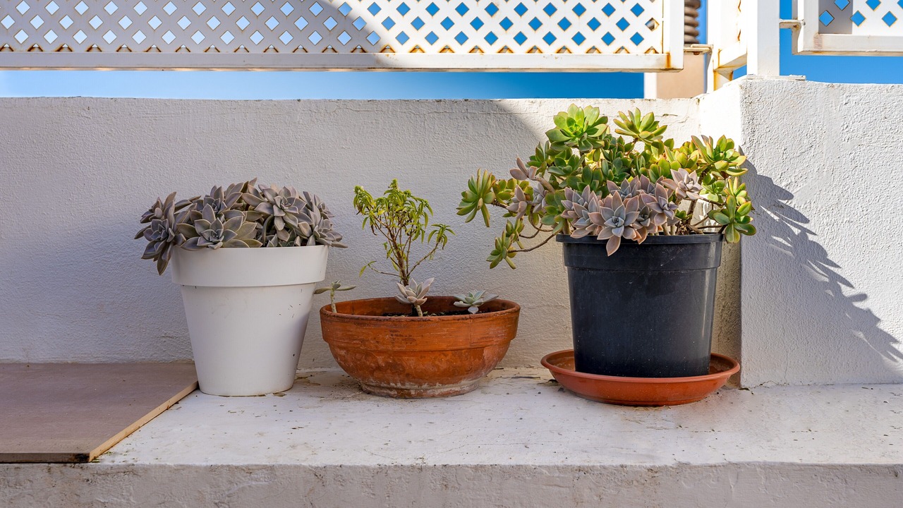 Photo of Outdoor in Beiro