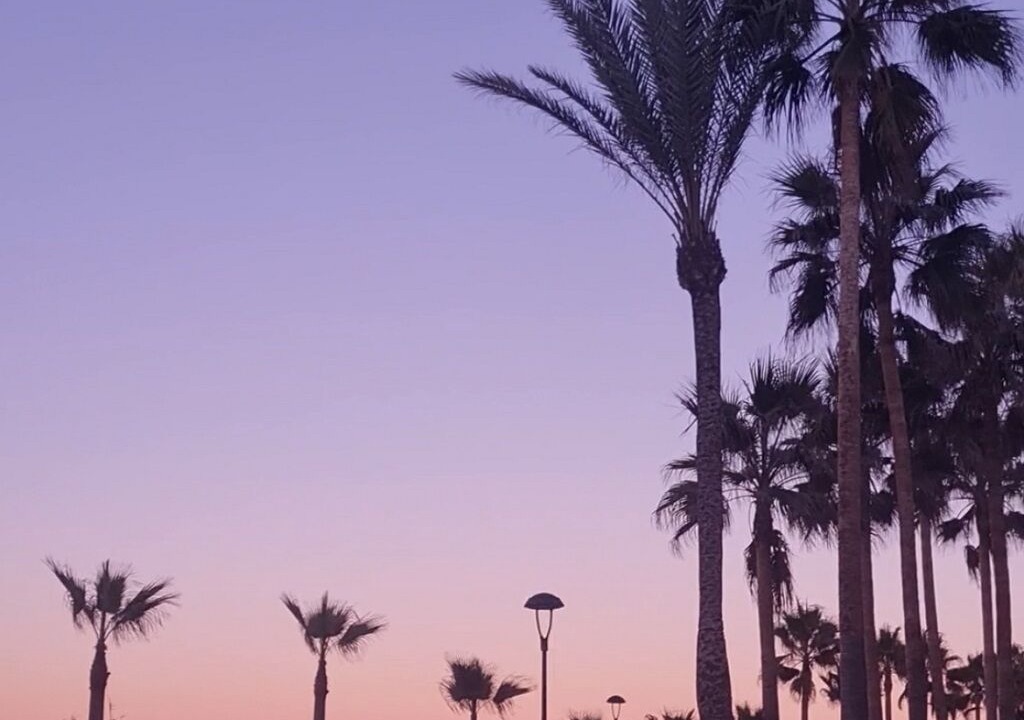 Photo of Others in Sotogrande