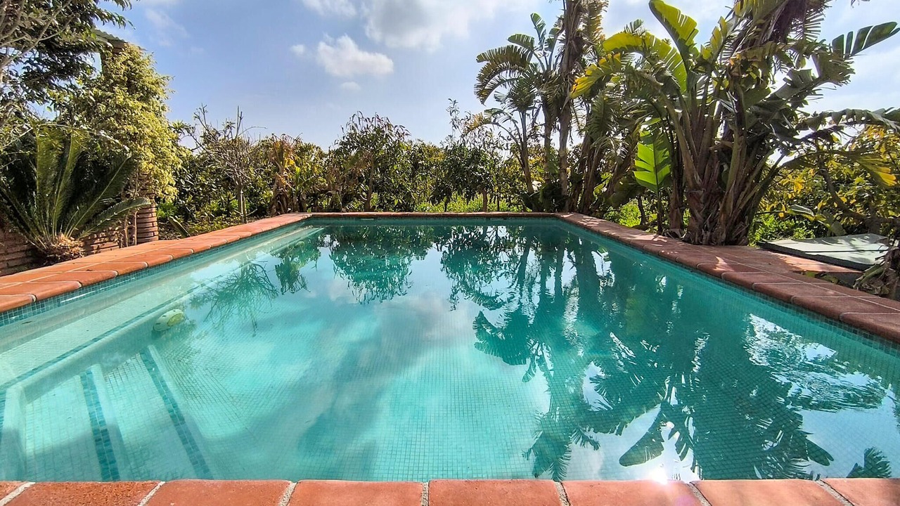 Photo of Outdoor in Velez-Malaga