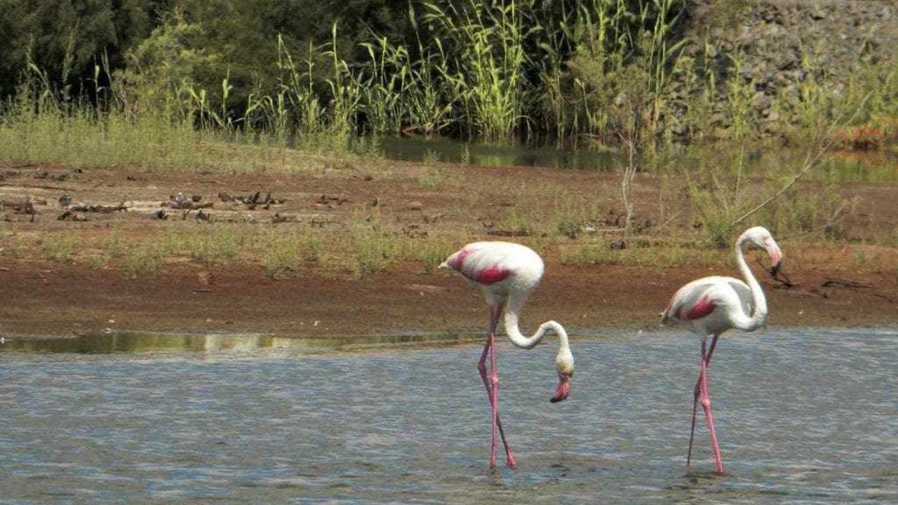 Photo of Others in Punta Umbria