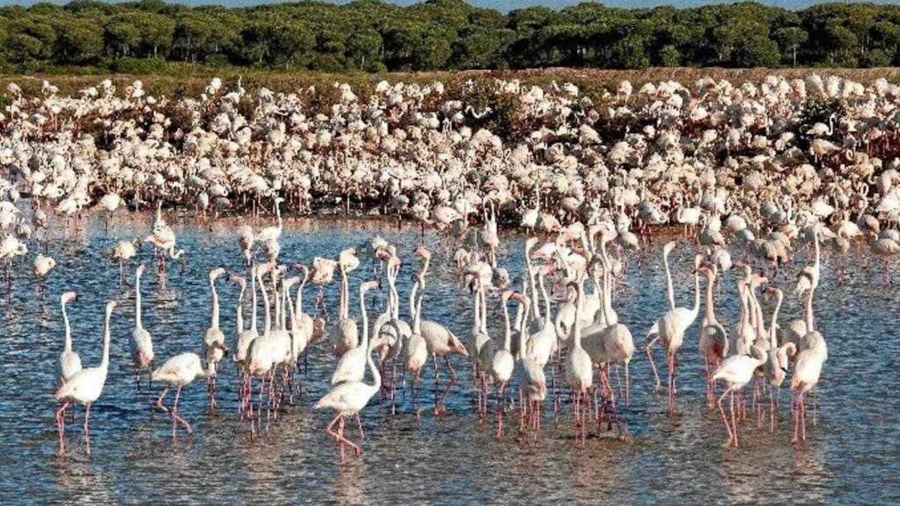 Photo of Others in Punta Umbria