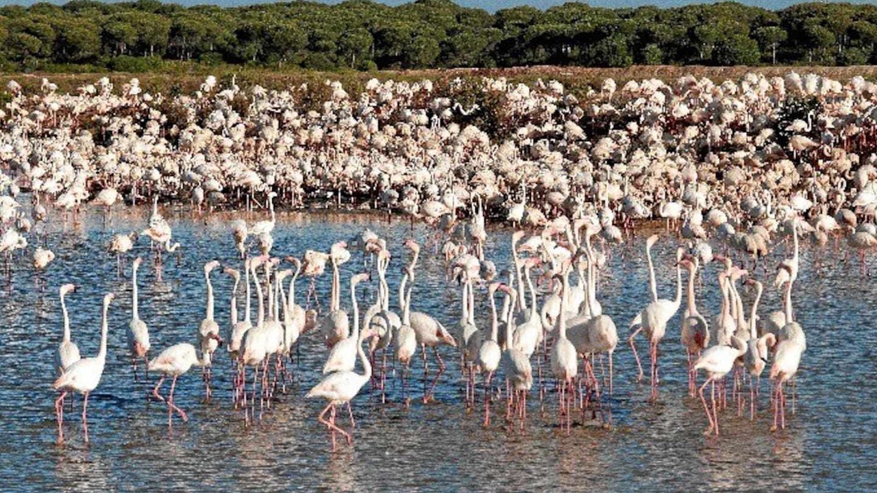 Photo of Others in Punta Umbria