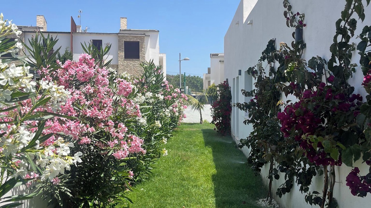 Photo of Outdoor in Estepona
