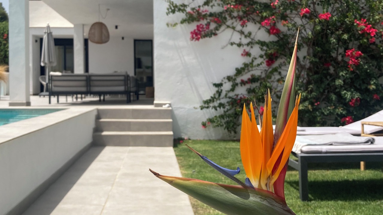 Photo of Outdoor in Estepona