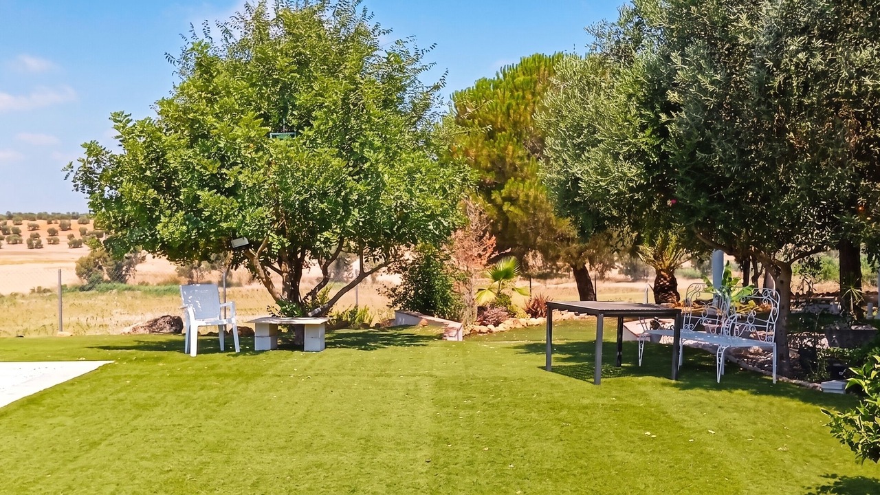 Photo of Outdoor in La Campana