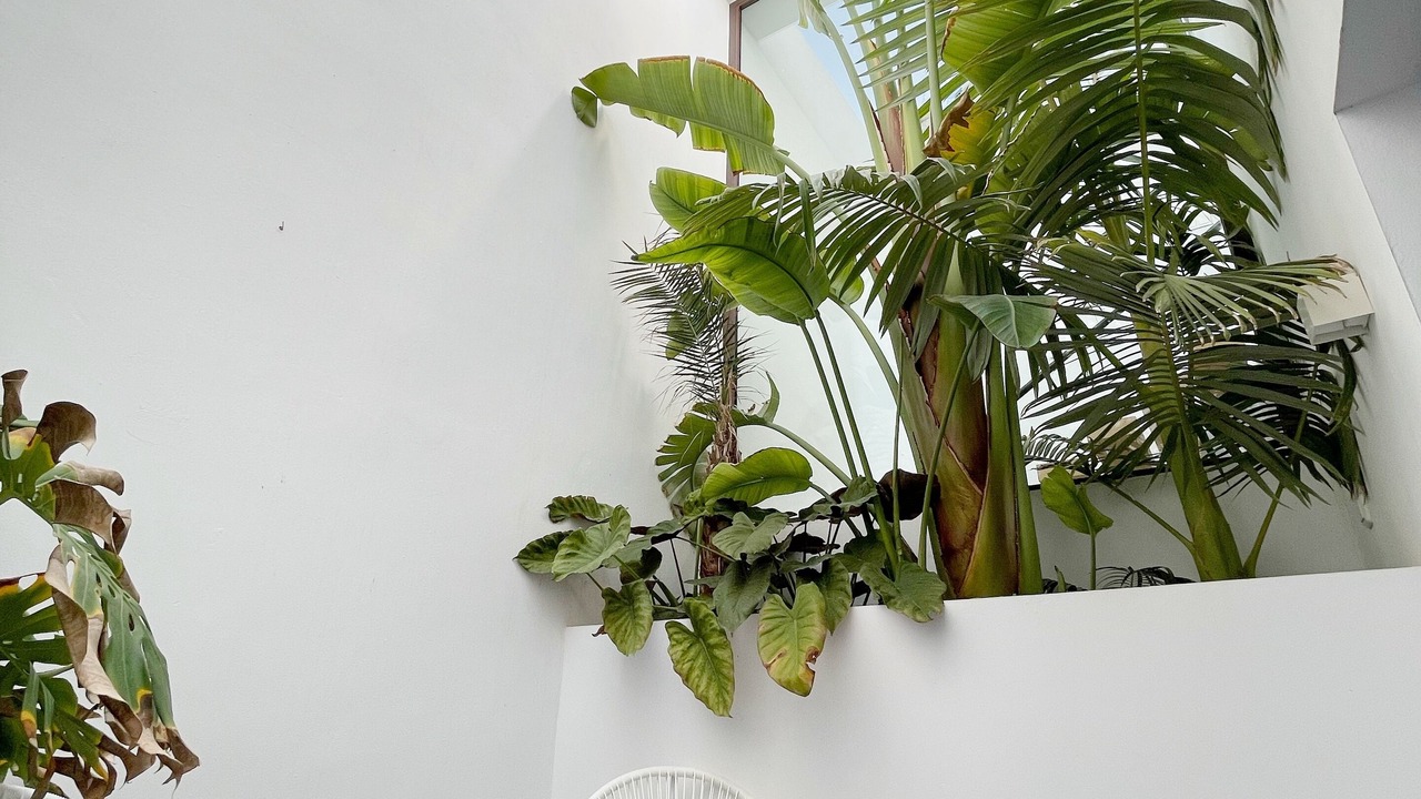 Photo of Patio Balcony in El Pozo de los Frailes