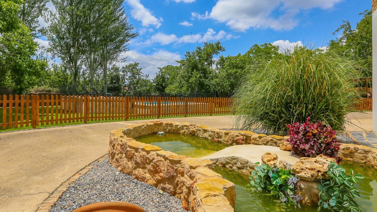 Photo of Outdoor in Castano del Robledo