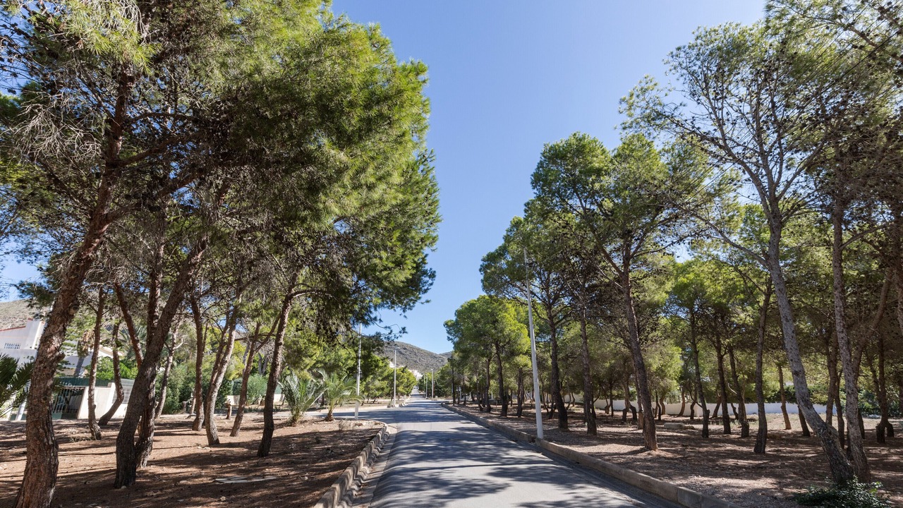 Photo of Outdoor in La Azohia