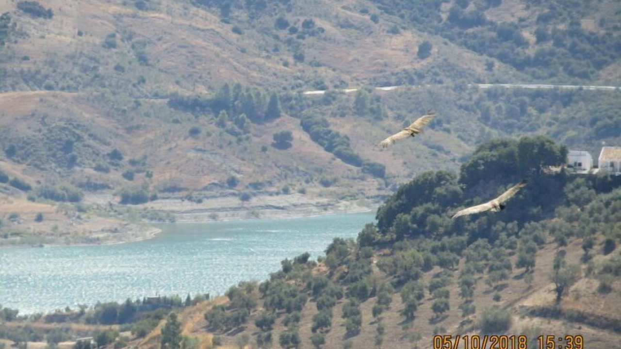 Photo of Outdoor in El Gastor