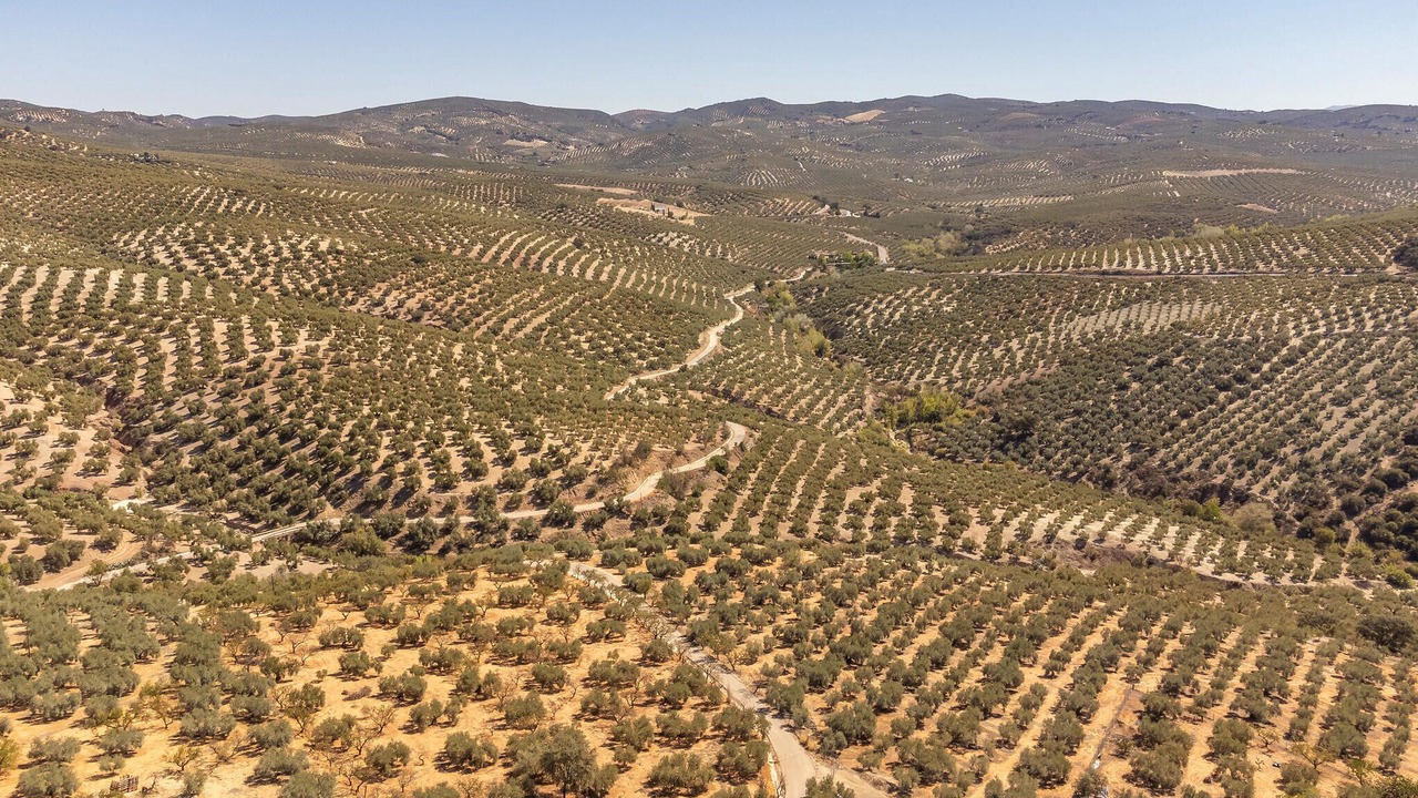 Photo of Others in Villanueva de Algaidas