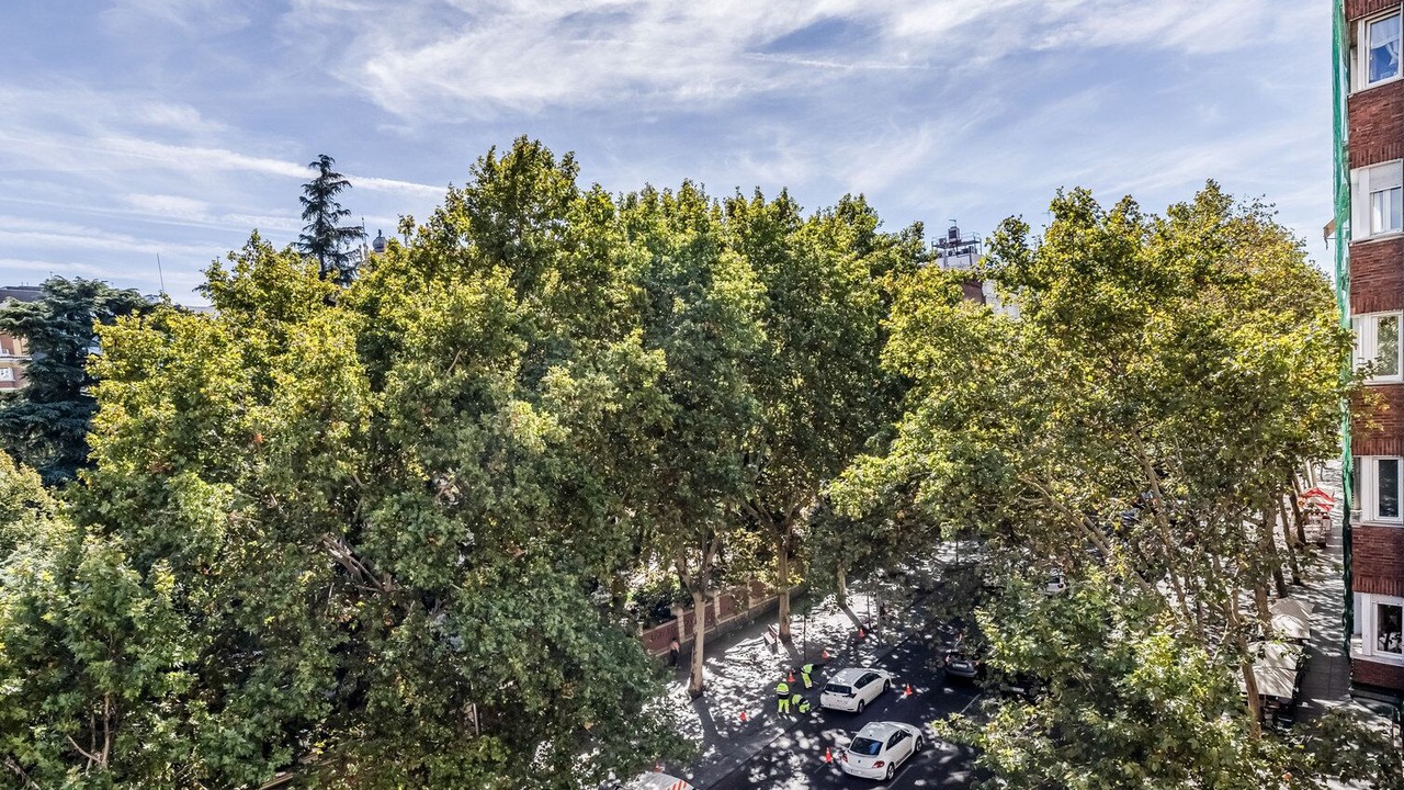 Photo of Outdoor in Castellana