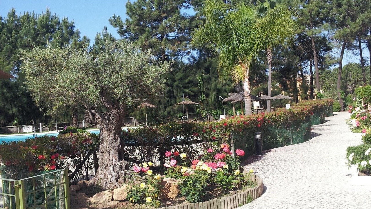 Photo of Outdoor in Lepe