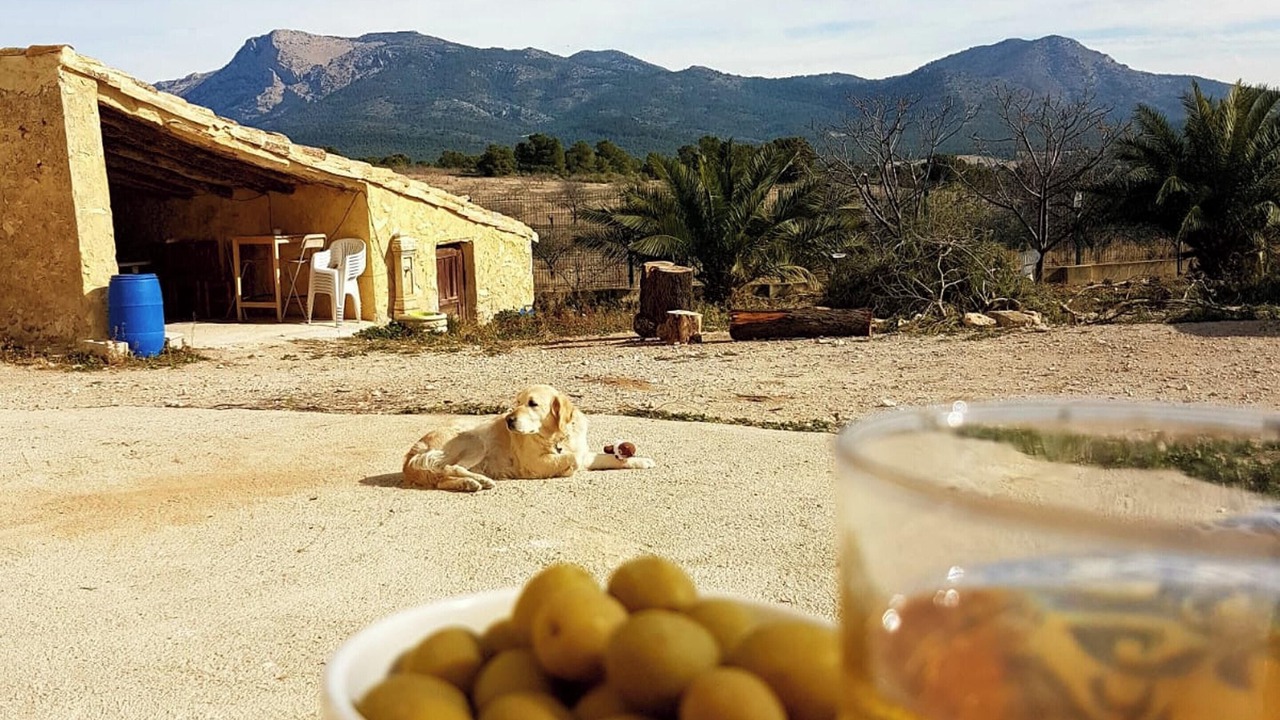 Photo of Others in Lorca