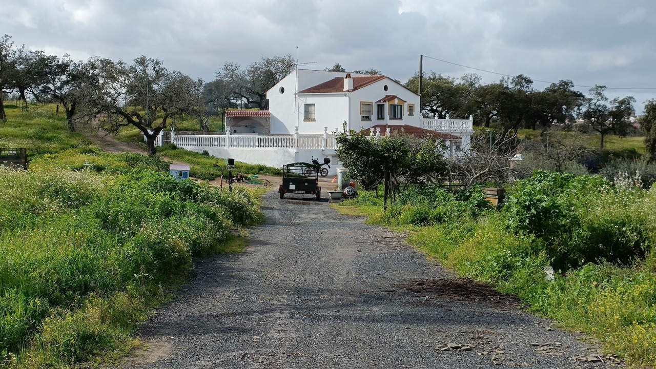 Photo of Outdoor in Paymogo