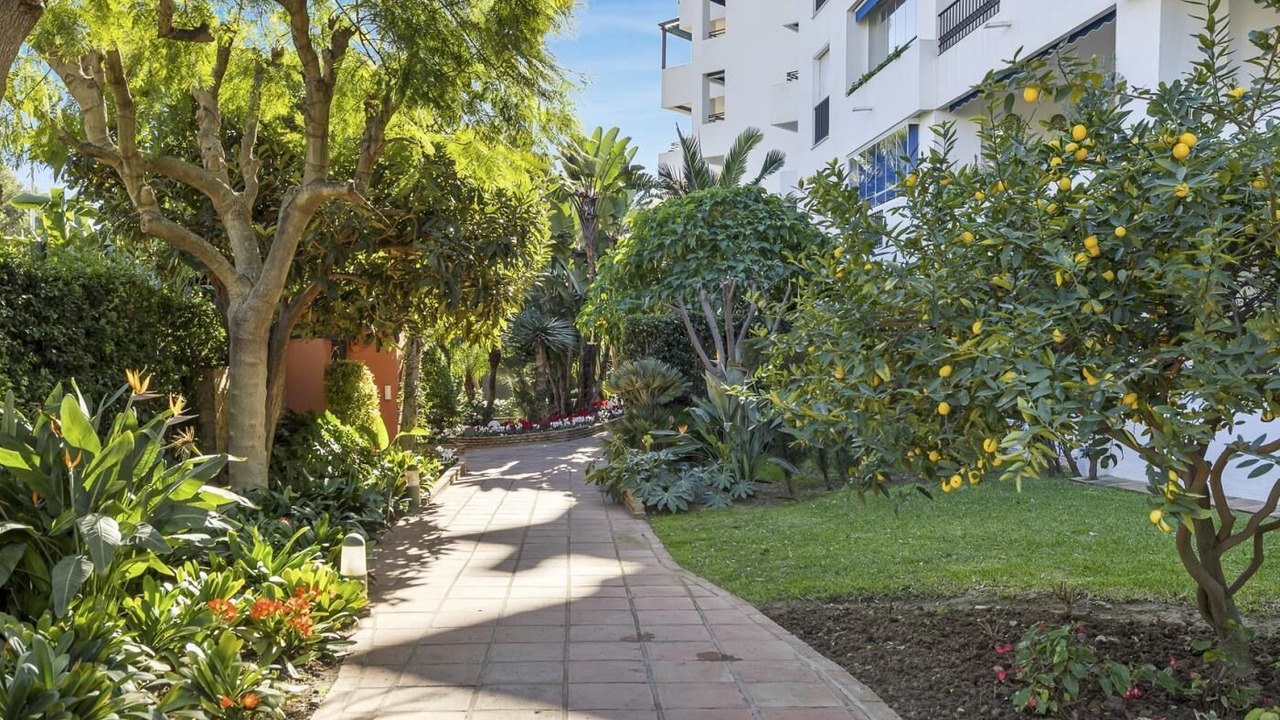 Photo of Outdoor in Puerto Banus