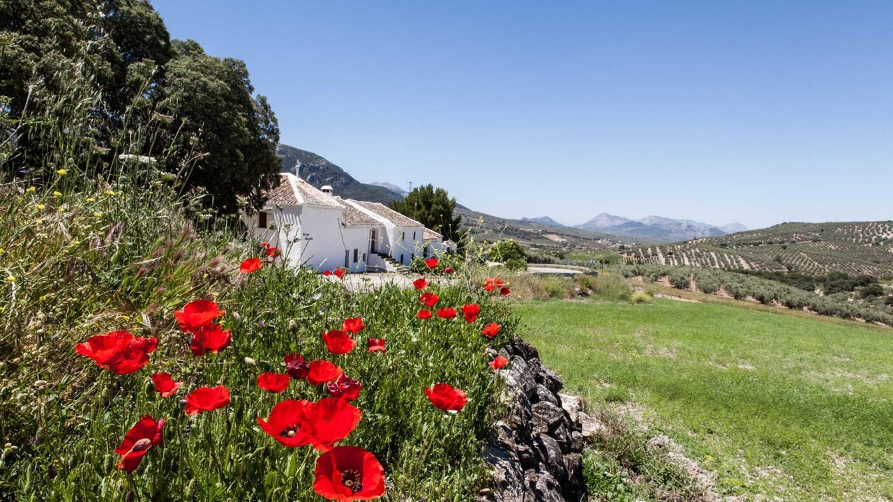 Photo of Outdoor in Villanueva del Trabuco