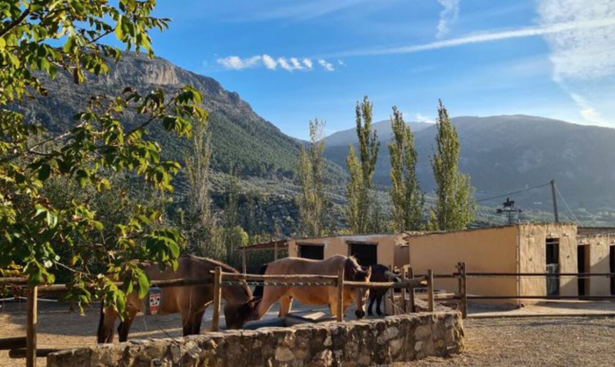 Photo of Outdoor in Villanueva del Trabuco