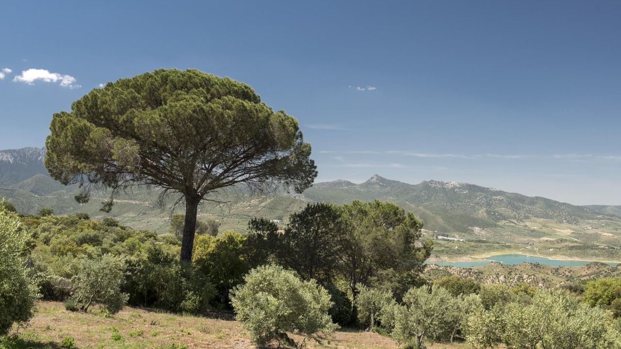 Photo of Outdoor in El Gastor